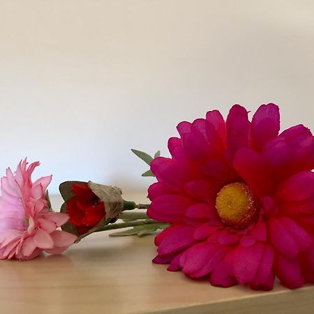 カステリョ・デンプリエスApartament Can Callisアパートメント エクステリア 写真